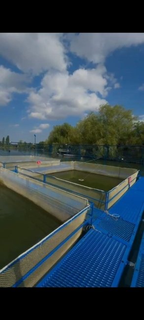  Осетровая ферма + Туристический комплекс.